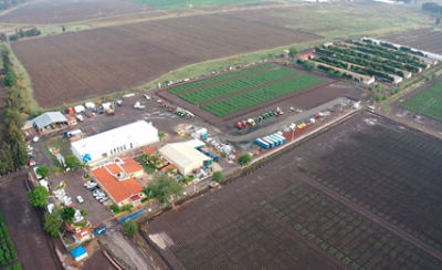 linea del tiempo imagenes 2023 Pioneer México